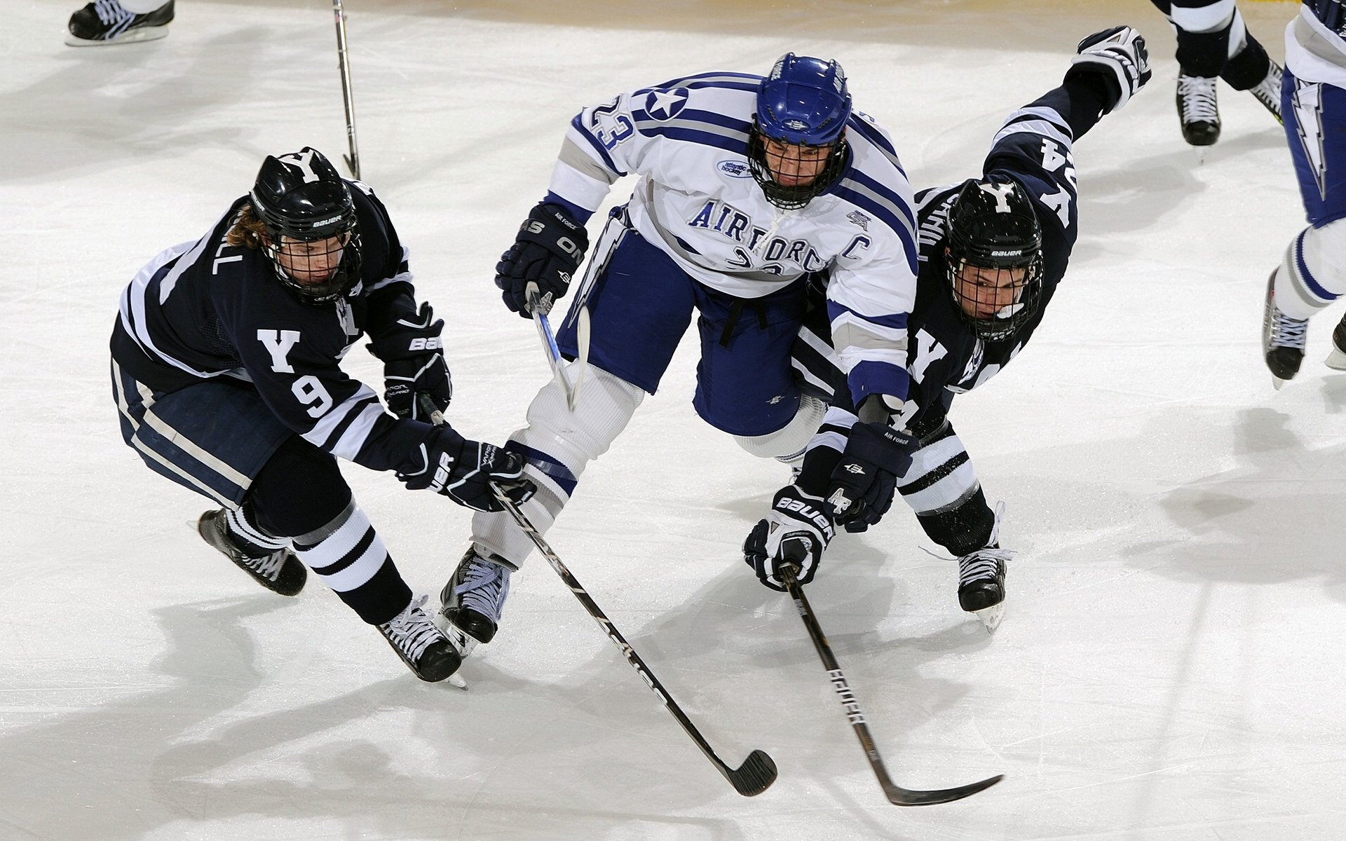 铁蹄踏碎王冠，德甲焦点战，公牛冲垮国王