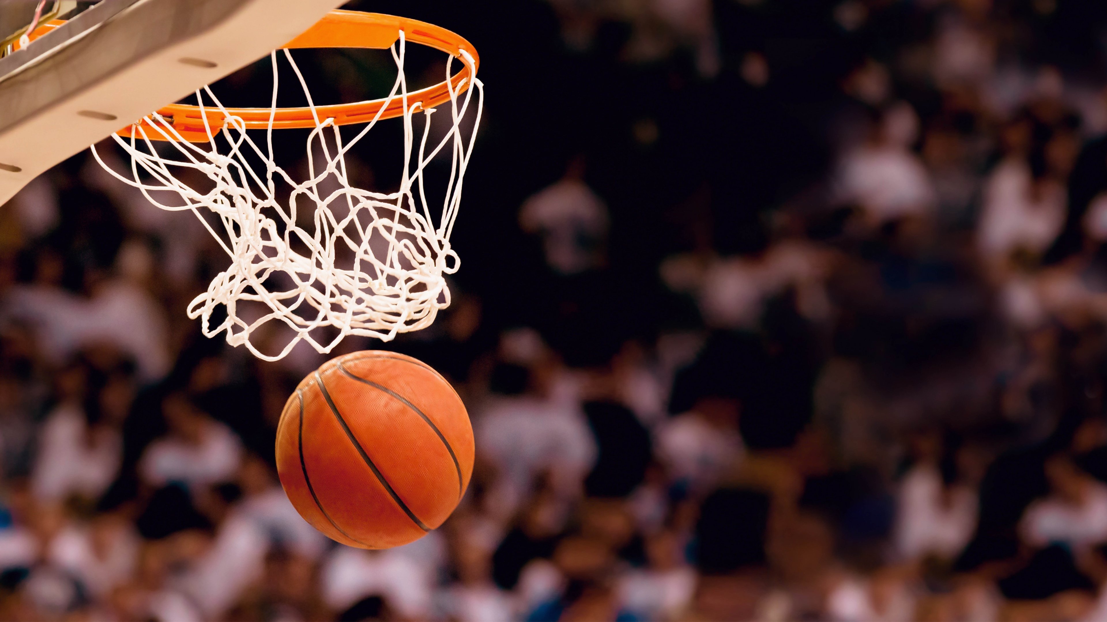 法网的红土之魂,温网的绿茵之殇,蒂姆,唯一在两种极限间自由穿行的孤胆剑客